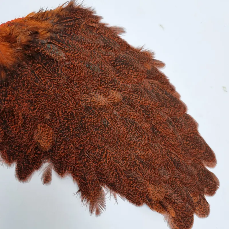 Whiting Coq de Leon Hen Saddle in Speckled Orange-2